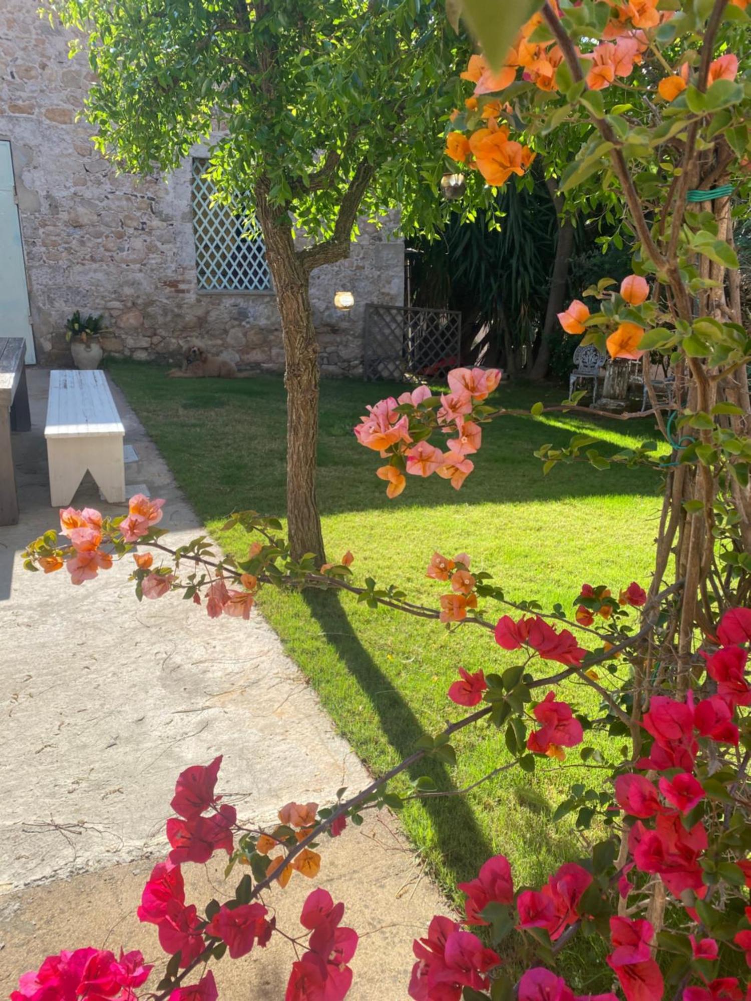 Corte Boero Bed&Breakfast Capoterra Exterior foto